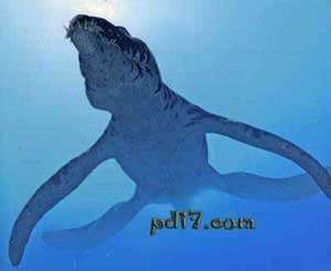 Top10 灭绝的远古海洋巨兽 沧龙 龙王鲸 巨齿