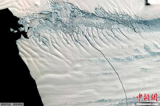 南极洲巨大冰山崩落 科学家：与气候变迁无关(南极洲冰架出现巨大裂痕)
