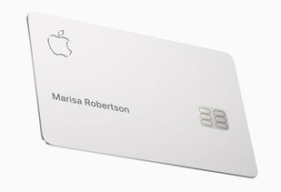 世界第一!Apple Card遭盗刷 苹果(世界第一个永久极地考察站是哪一个站)