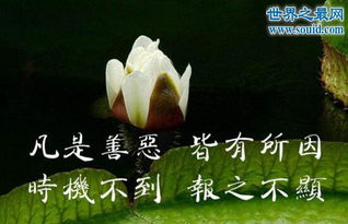 因果报应真实事例,做尽坏事必遭天谴 