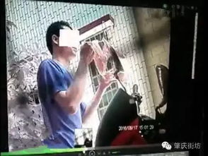 注意 肇庆黄岗有变态狂魔出没,女性朋友注意了 