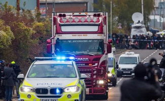 英媒:卡车上39人冻死 至少在零下25°C在环境中呆了15个(解放英途卡车)