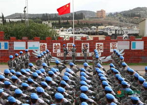 全球埋有地雷1亿多颗,看中国扫雷兵的成绩单