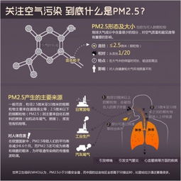 揭开PM2.5神秘面纱 空气净化是关键