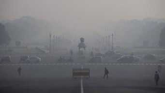 报告称印度每年约120万人死于空气污染 已面临生态灾难 