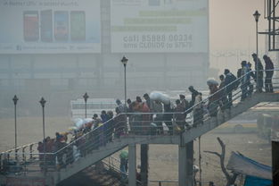 世卫 印度新德里世界雾霾最重 超安全标准10倍