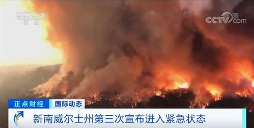 澳大利亚森林大火持续肆虐 本周已致8死,至少18人失踪