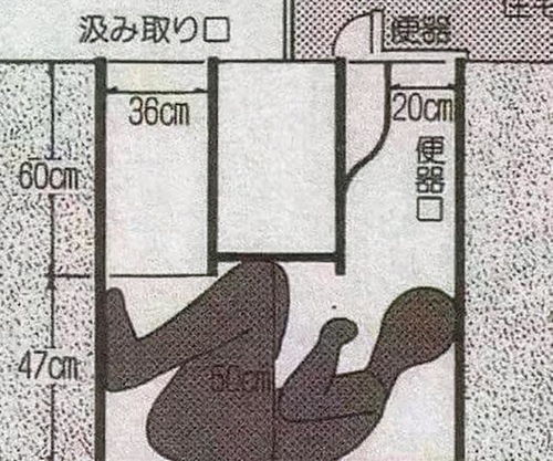 日本着名未解悬案,日本福岛便池藏尸案,真相到底是什么