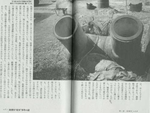 日本福岛便池藏尸案 解密困扰日本30多年凶手是怎么钻进厕所,偷窥女生的