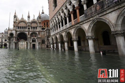 威尼斯水位再度触及1.5米 游客水中用餐沉船书店持续被淹 