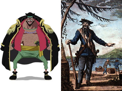 海贼王 四大人物原型,黑胡子原型也是海盗,白胡子是尾田朋友