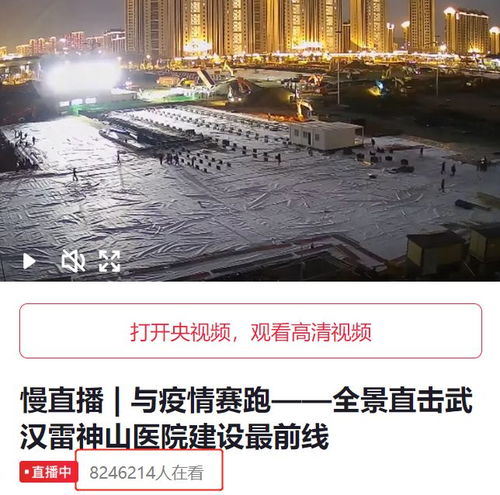 2000万无聊的中国网友,给武汉火神山医院当起了监工 zandaoguang的博客 CSDN博客 