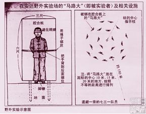 731侵华部队在中国东北研究细菌武器,对俘虏进行人体实验 抗(日本侵华实验室731在哪)