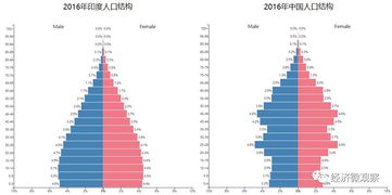 放大镜下的印度 深度剖析印度的前世今生 