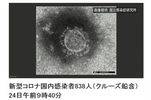 全球疫情日报|日本邮轮增加39例,WHO称病毒为全球公敌(青海日报疫情最新消息)