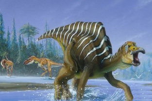 新西兰村民活捉一只恐龙