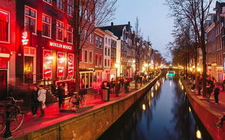 多面 文艺又性感的阿姆斯特丹,不是仅有红灯区而已 