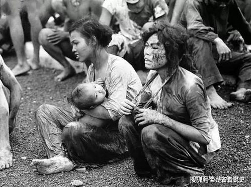越战老照片 图1是对战俘进行刑讯逼供,图4的女人看着很可怜