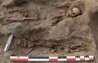 227具儿童遗骸秘鲁被发现,全部面朝大海,死因疑与祭祀有关