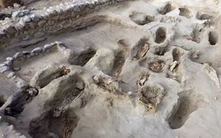 秘鲁考古发现227具儿童遗骸 全部面朝大海,似乎在传递一个消息