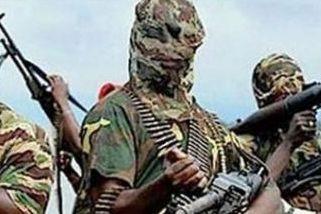 尼日利亚中北部一村庄遭武装分子袭击 至少45人死 