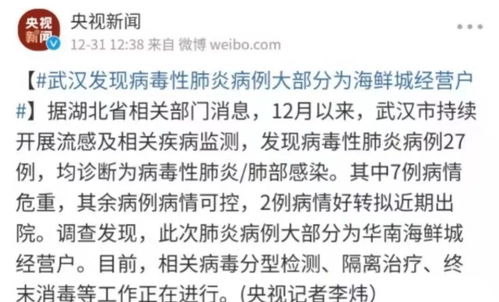 柳州人莫慌 武汉发现不明原因肺炎不能断定是SARS,专家组已达武汉