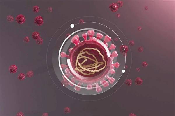 继拉姆达后 世卫组织又公布新冠病毒新变种 已在39个国家传播
