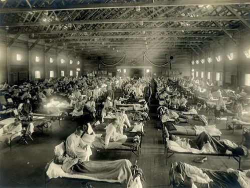 全球爆发的西班牙大流感,竟然来源于美国 还是从动物身上传到人
