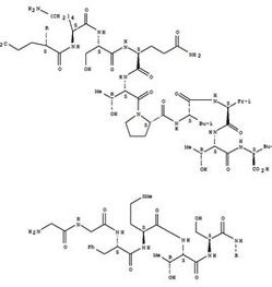 多巴胺和内啡肽的区别(多巴胺和内啡肽的快乐)