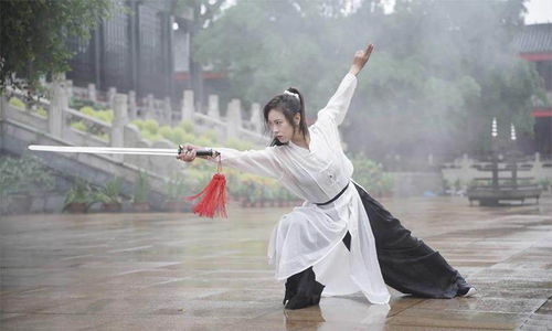 马赵凌云 峨眉派大师姐 