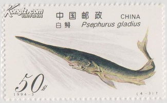 1994 3鲟鱼 