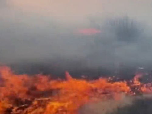 切尔诺贝利森林大火蔓延逼近核反应堆 黑烟遮天蔽日或为人为纵火