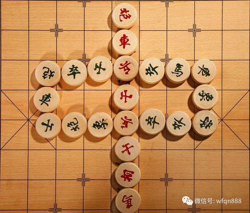 因为中国从来没有过大象,所以象棋源于印度 这个观点,大错特错