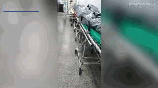 巴西重症患者躺死者旁吸氧 与14具尸体共用一室