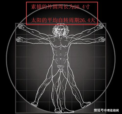 维特鲁威人三大秘密,天文 星座 人体 一张人体图震惊世界