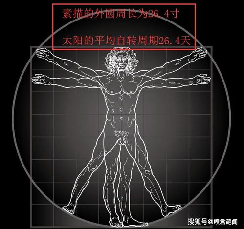 维特鲁威人三大秘密,天文 星座 人体 一张人体图震惊世界