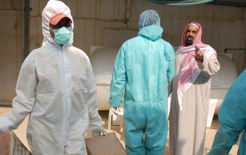 世界动物卫生组织:高致病性H5N沙特爆发禽流感(世界动物卫生组织的每个成员有几个代表)