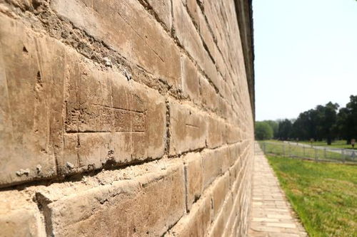 北京天坛公园600年老墙连着三年被刻字(北京十大公园)