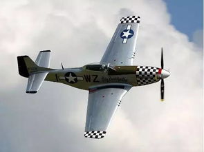 这十大二战飞机,哪一款功绩最高 