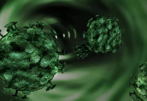 新冠病毒1种名为A2a的变种最危险，被称为“女王”毒株(一种名为新冠的病毒英文)
