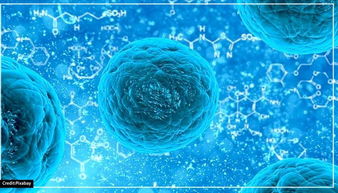 科学家发现了一种完全未知的病毒