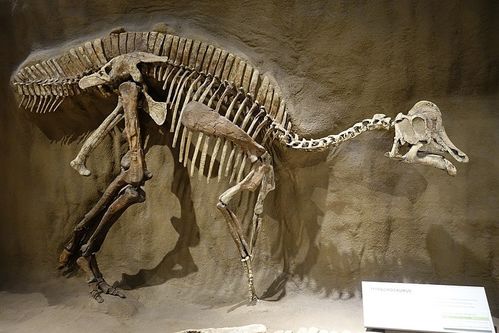 我国在恐龙化石上发现疑似DNA物质,中国能率先复活恐龙吗