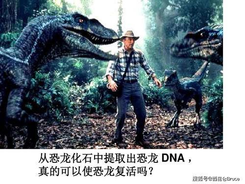 恐龙要复活 我国科学家在恐龙化石中,发现疑似DNA,能否克隆呢