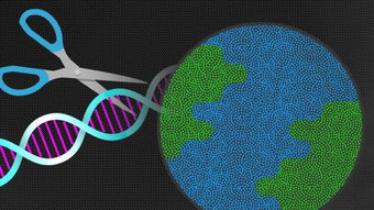 在美国观望的时候,中国已经启动 CRISPR 基因编辑技术人体试验