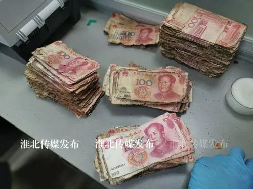 女子把200万元现金埋在地下5年,取出后