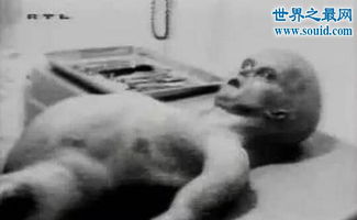 揭秘解剖外星人尸体,竟为惊世大骗局 内附视频 