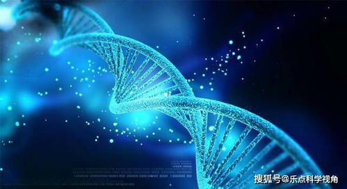 我们的基因可以解释COVID 19和其他感染的严重程度