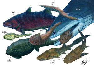 古生物学家 人类的 鱼祖先 可能起源于云南曲靖 
