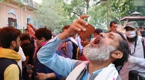 印度如何对抗新冠肺炎疫情？喝牛尿、涂牛粪、围殴医护人员