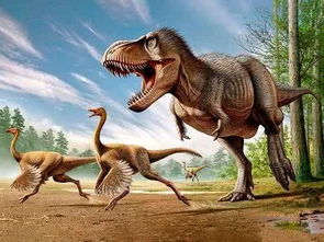 中美科学家首次在恐龙羽毛化石中发现 虱子